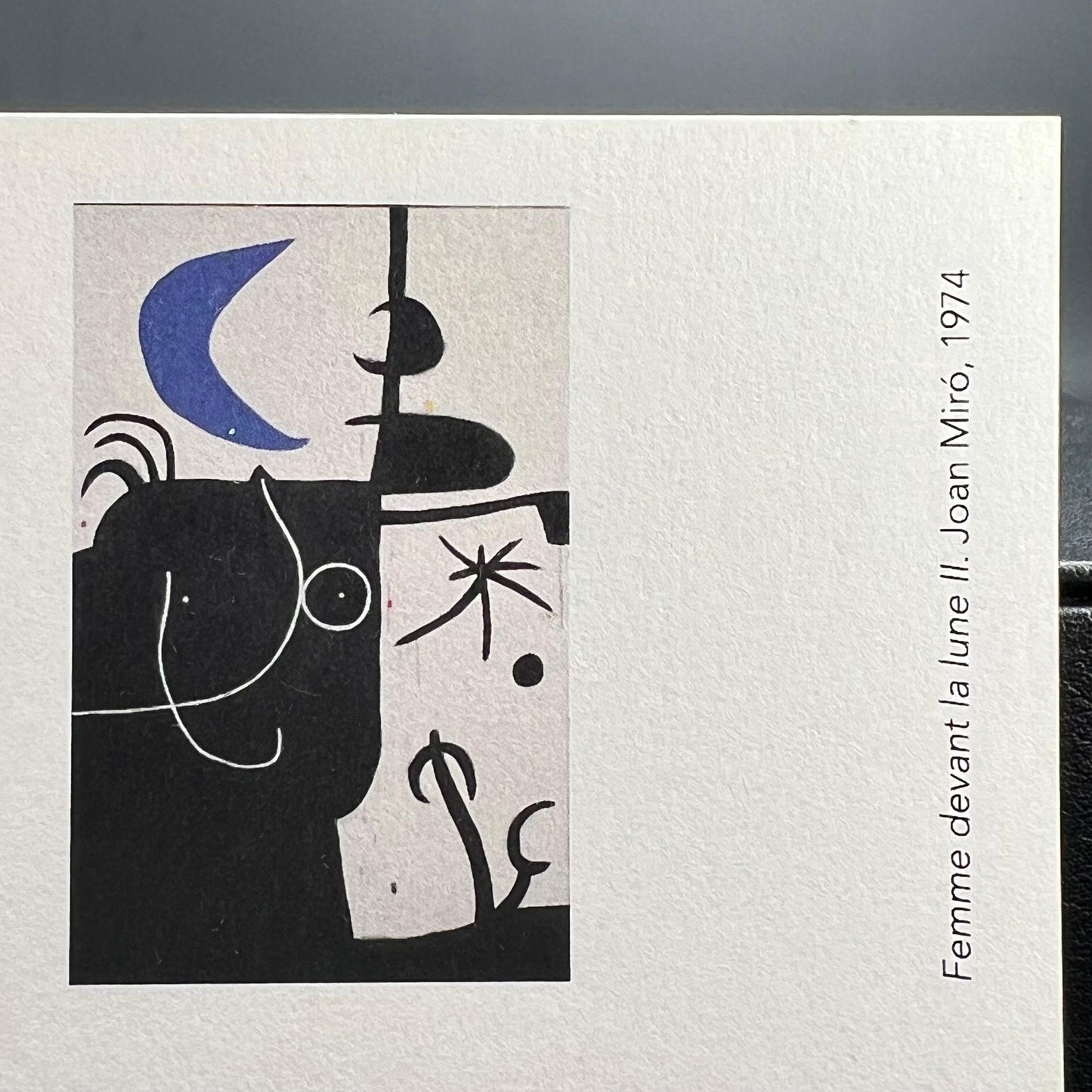Orecchini Luna Miró